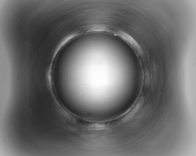 X0000099941190200805231245