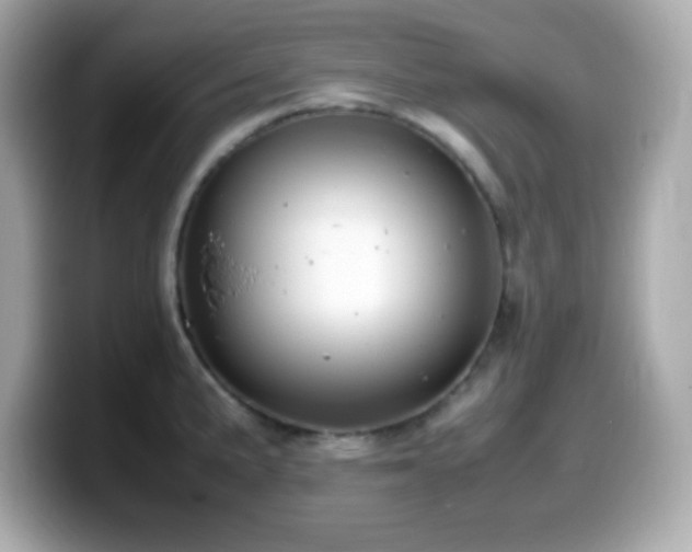 X0000099941191200805231245