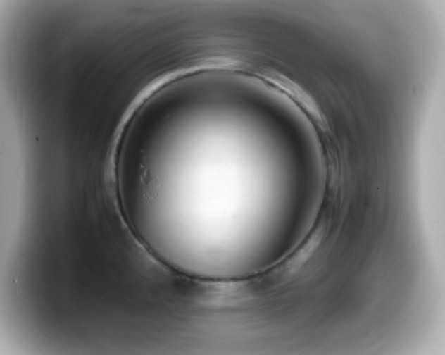 X0000099941192200805231245