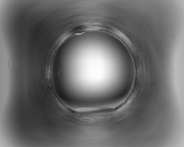 X0000099941193200805231245