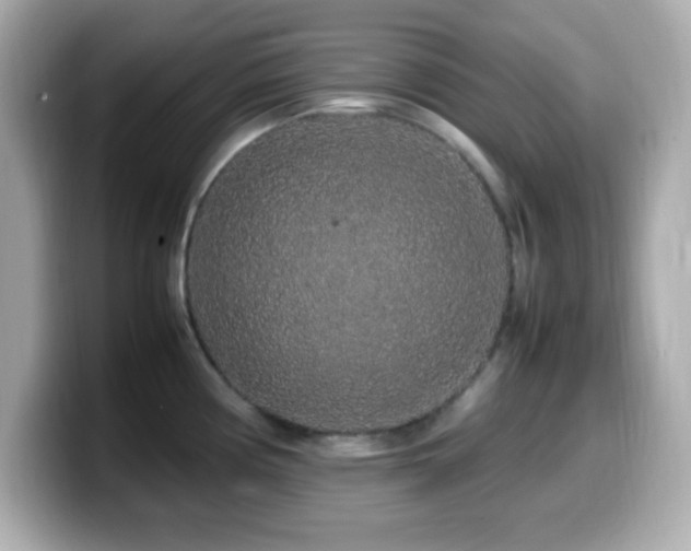 X0000099941194200805231245