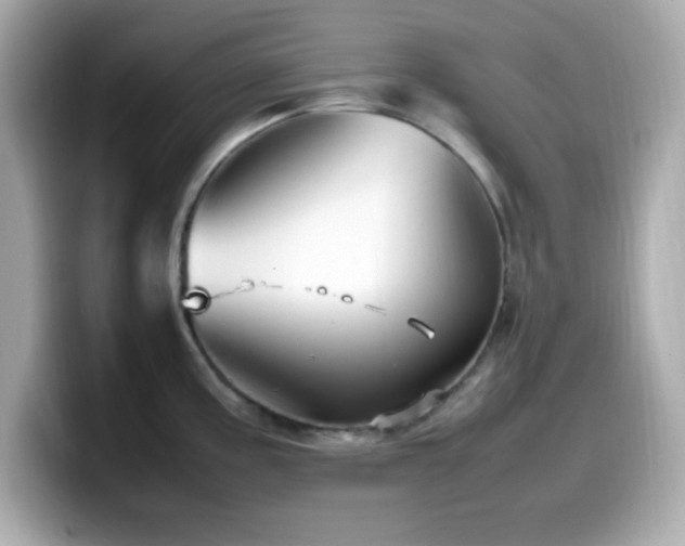 X0000099941195200805231245