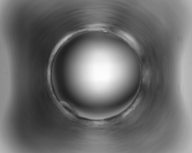 X0000099941196200805231245