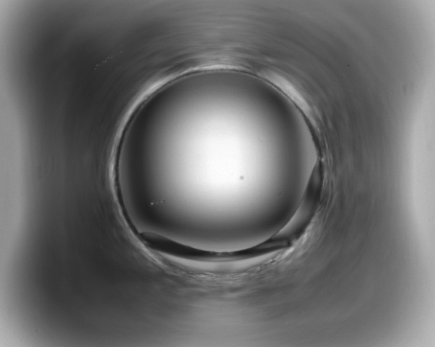X0000099941197200805231245