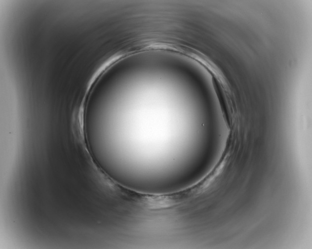 X0000099941198200805231245