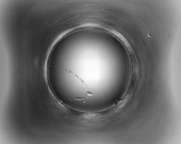 X0000099941199200805231245