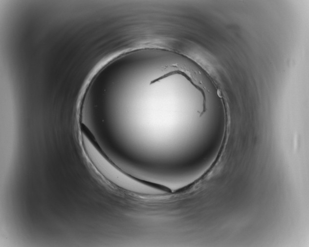 X0000099941200200805231245