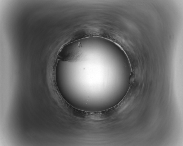 X0000099941201200805231244