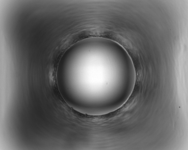 X0000099941202200805231244