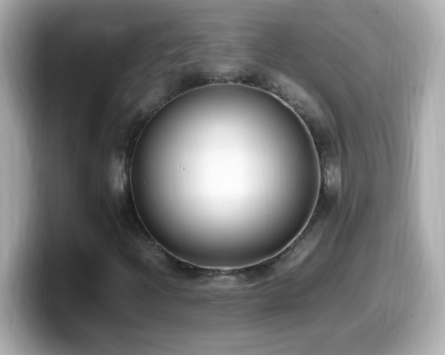 X0000099941204200805231244