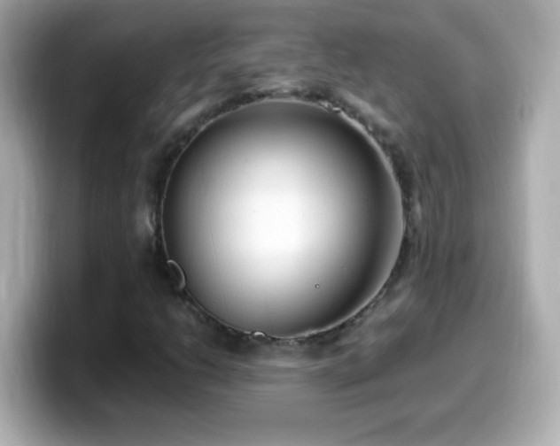 X0000099941206200805231244