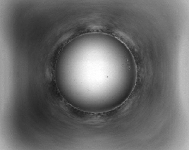 X0000099941207200805231244
