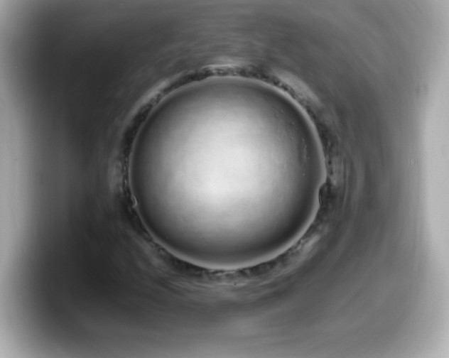 X0000099941208200805231244