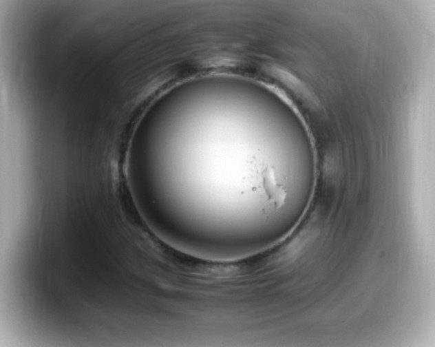 X0000099941209200805231244
