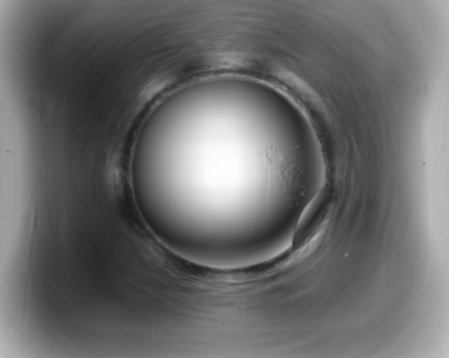 X0000099941210200805231244