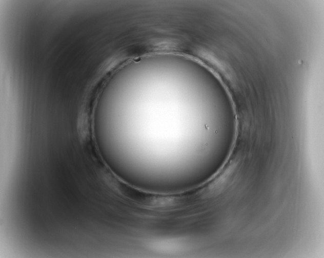 X0000099941211200805231244