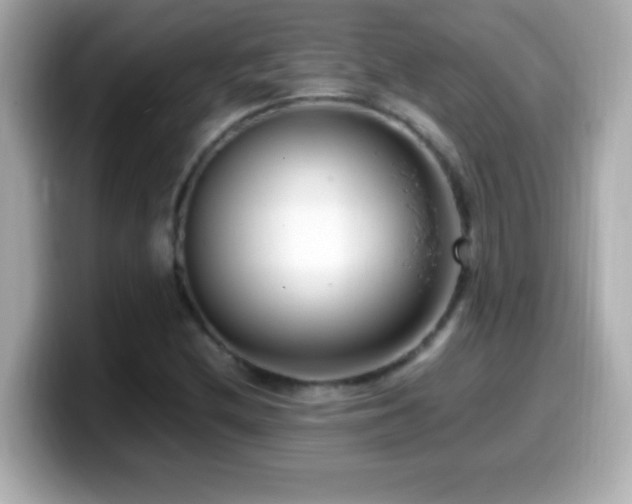 X0000099941212200805231244