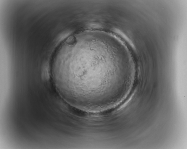 X0000099941213200805231244