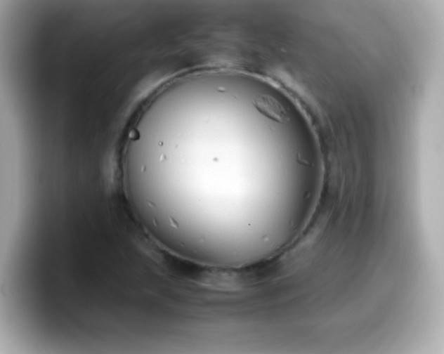 X0000099941215200805231244