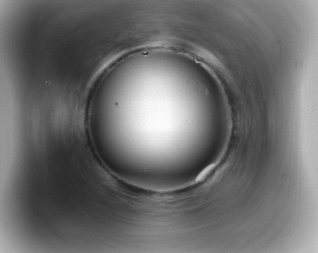 X0000099941216200805231244