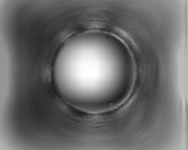 X0000099941217200805231244
