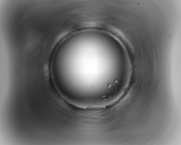 X0000099941218200805231244