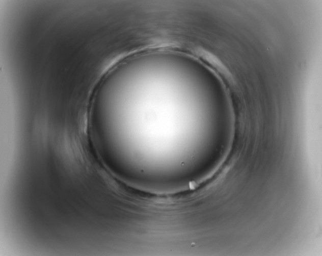 X0000099941220200805231244