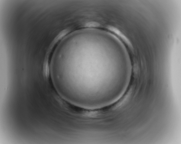 X0000099941221200805231244