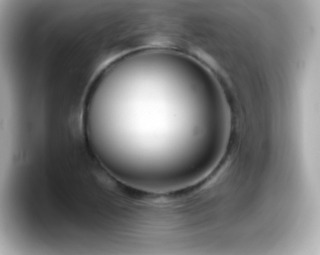 X0000099941222200805231244