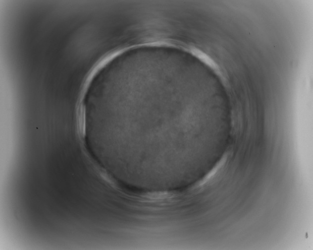 X0000099941223200805231244