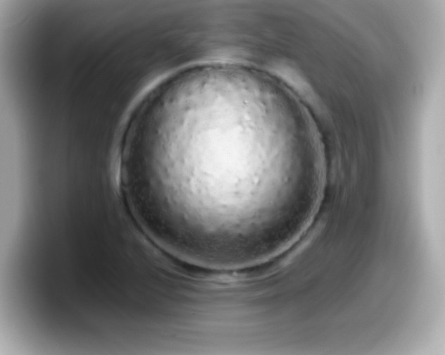 X0000099941224200805231244