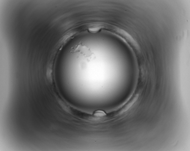 X0000099941225200805231244