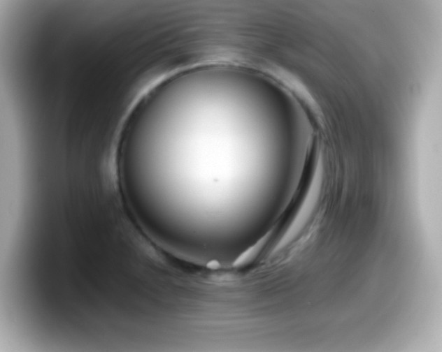 X0000099941230200805231245