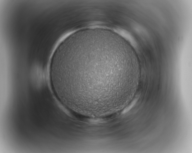 X0000099941231200805231245