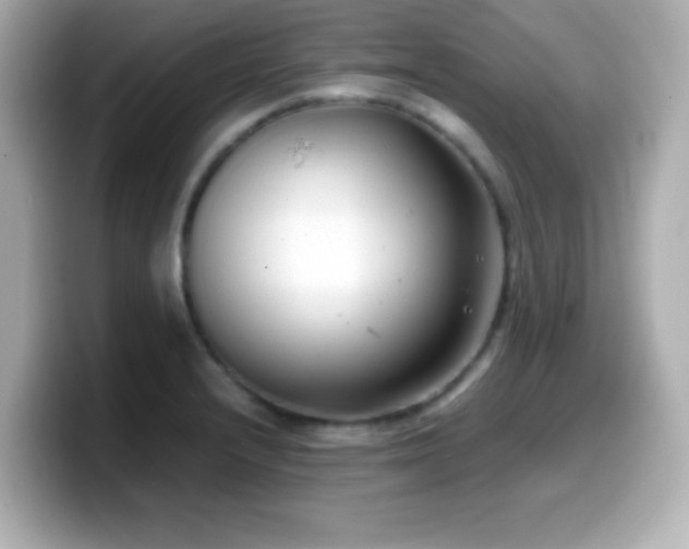 X0000099941232200805231245