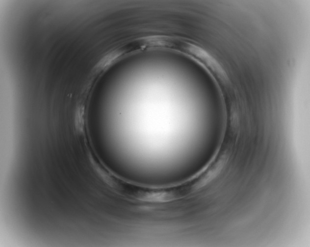 X0000099941233200805231245