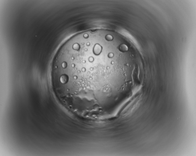 X0000099941235200805231245
