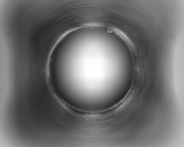 X0000099941236200805231245