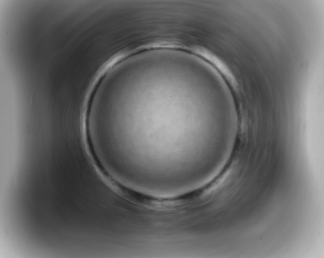 X0000099941237200805231245