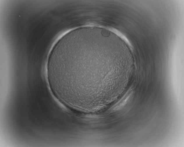 X0000099941239200805231245