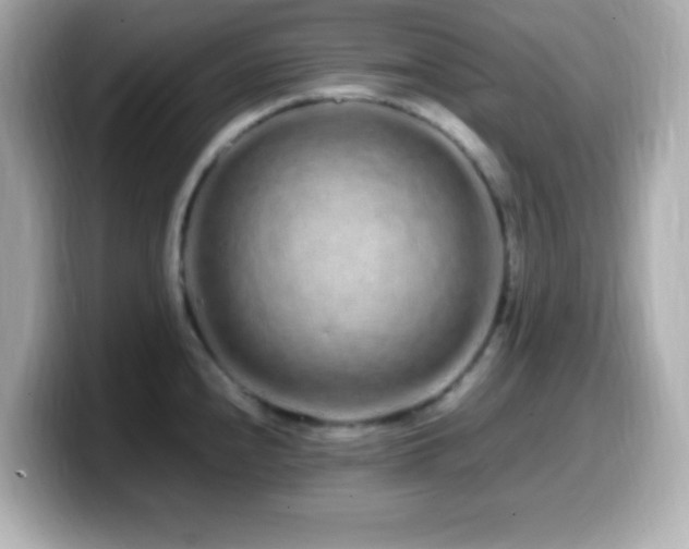X0000099941240200805231245