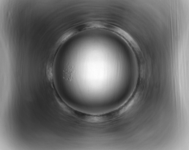 X0000099941241200805231245