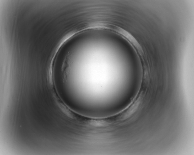 X0000099941242200805231245