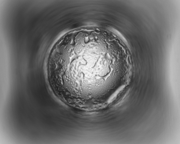 X0000099941243200805231245