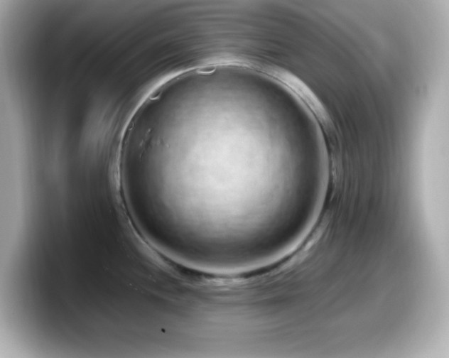 X0000099941244200805231245