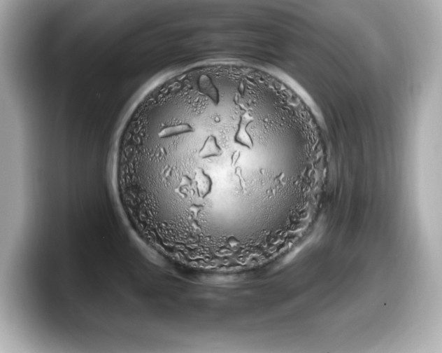 X0000099941245200805231245