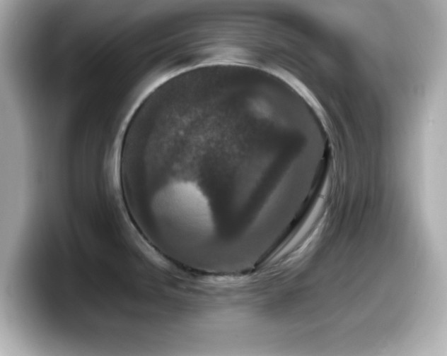 X0000099941246200805231245