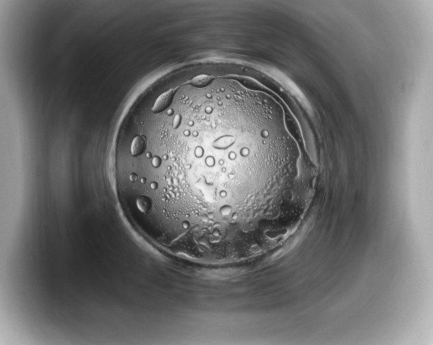 X0000099941247200805231245
