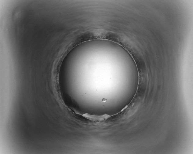 X0000099941249200805231244