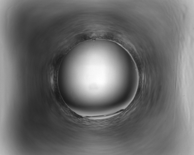 X0000099941250200805231244